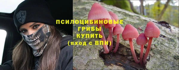 марихуана Новозыбков